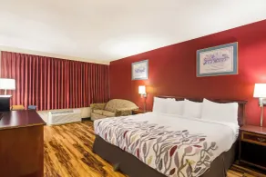 Red Roof Inn Winchester - Lexington East - Habitación