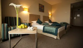 Azalia Beach Hotel Balneo & SPA - Room