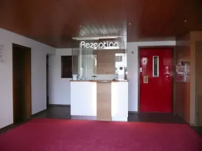 Hotel Rebstock - Réception