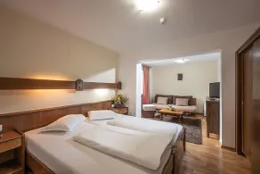 Double room, shower, toilet - Habitación
