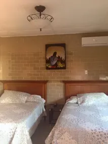 Hotel Rex - Room