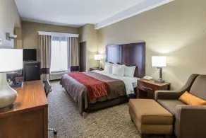 Comfort Inn Kingsport Southeast - Chambre