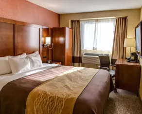 Ramada by Wyndham New York Times Square West - Chambre
