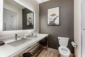 Cambria Hotel Plano - Richardson Garland - Salle de bain