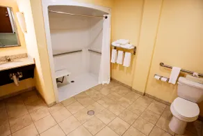 Holiday Inn Express & Suites Harrisburg West - Salle de bain