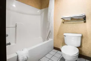 Quality Inn Monee I-57 - Salle de bain