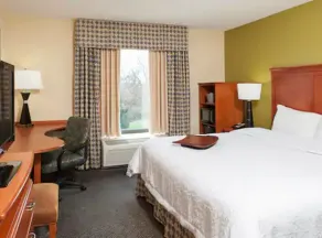 Hampton Inn Jacksonville - Chambre