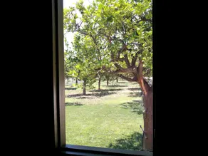 Terra Dei Limoni - Vue de la chambre