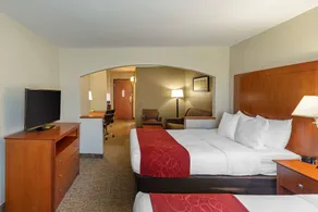 Comfort Suites North Dallas - Chambre