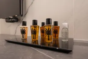 Agra Suites - Salle de bain