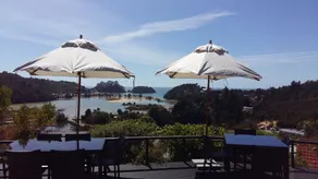 Kimi Ora Eco Resort - Vue de la chambre