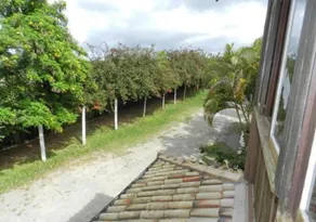 Pousada Halliny do Rosa - Garden view