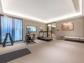 Mercure Shenyang Qingnian Avenue TV Tower - Area fitness