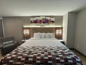 Red Roof Inn Arlington - Entertainment District - Zimmer