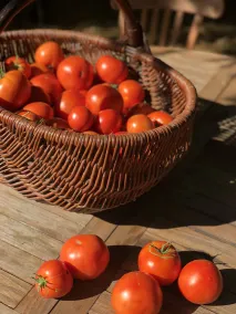 Au coq des bois - Ristorante