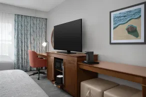Hampton Inn & Suites Vero Beach Downtown - Chambre