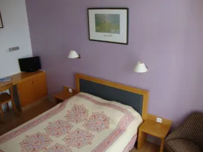 Hôtel Au Petit Languedoc - Room