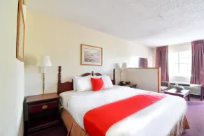 OYO Hotel Tyler Lindale - Chambre