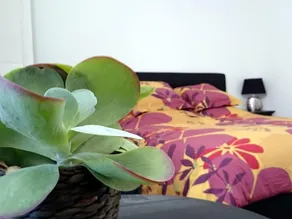 Le Clos Chez Michel - Chambre