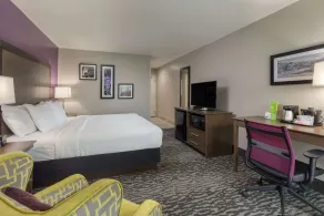 La Quinta by Wyndham Visalia/Sequoia Gateway - Chambre