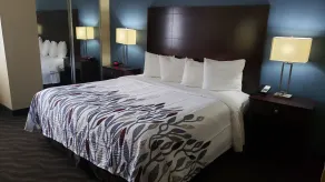 Red Roof Inn Port Allen West LSU Stadium - Habitación