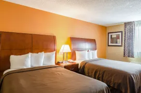 Quality Inn Chicopee-Springfield - Chambre