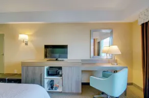 Hampton Inn & Suites Boston Crosstown Center - Chambre