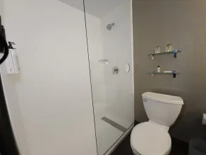 Skyline Hotel Detroit Airport, SureStay Collection by BW - Salle de bain