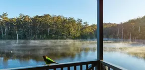 RAC Karri Valley Resort - Ausblick vom Zimmer