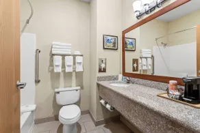 Comfort Inn & Suites Midtown - Badrum