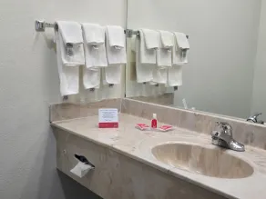 Econo Lodge Villa Rica - Salle de bain