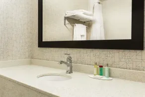 Travelodge by Wyndham Windsor - Salle de bain