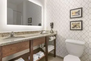 Comfort Inn & Suites Davenport - Quad Cities - Salle de bain