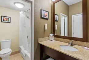 Comfort Inn Roswell-Dunwoody - Bad