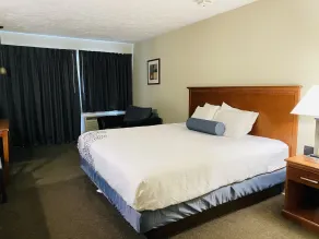 Fleetwood Inn Suites - Værelse
