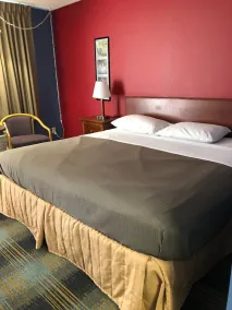 Rose Motel - Rom