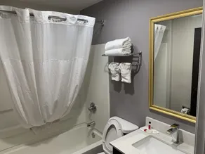 Microtel Inn and Suites Clarksville - Salle de bain