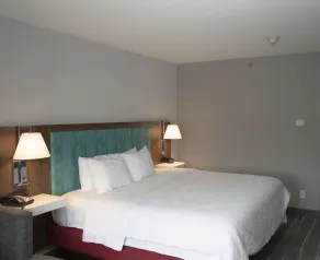 Hampton Inn Utica - Chambre