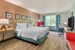Hilton Garden Inn Atlanta NE/Gwinnett Sugarloaf - Chambre