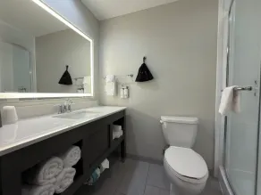 Holiday Inn Midland by IHG - Badrum