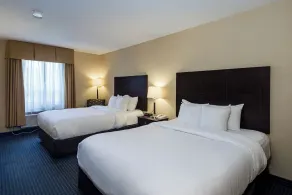 Comfort Inn - Gander - Chambre