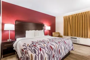Red Roof Inn Dry Ridge - Chambre