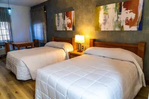 Hotel Suites EL Paseo  - Værelse