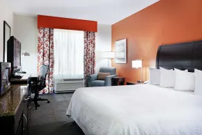 Hilton Garden Inn Springfield, IL. - Chambre