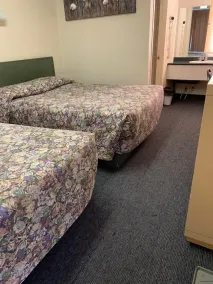 Grey Goose Motel - Habitación