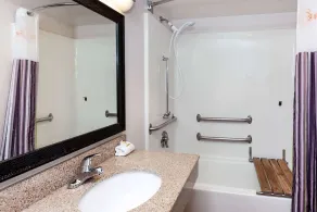 La Quinta by Wyndham Milwaukee Bayshore Area - Bathroom