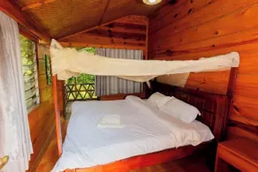 Ruwenzori View Guest House - Room