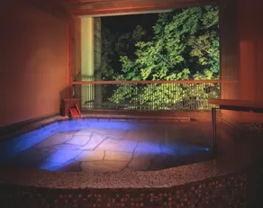 Hotel Miyama - Spa