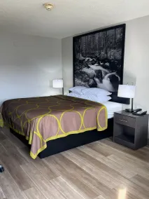 Super 8 by Wyndham Charleston WV - Chambre
