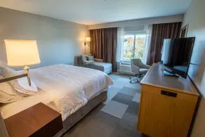 Hampton Inn by Hilton Amesbury - Habitación
